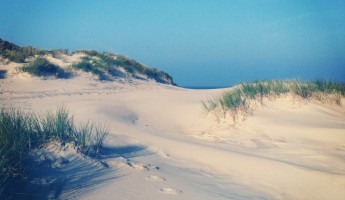 Strand homepage